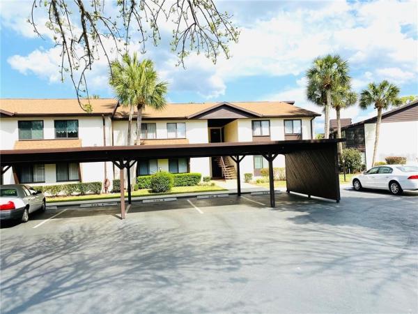 SILVER SPRINGS SHORES