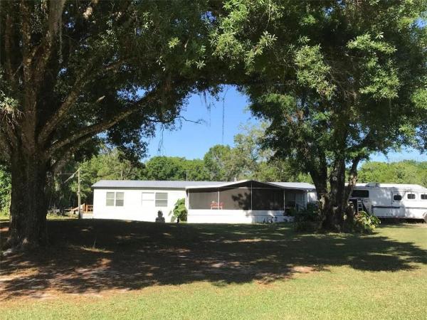 NEW RIVER RANCHETTES