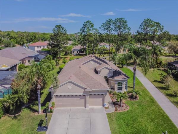 PLANTATION PALMS PH 06