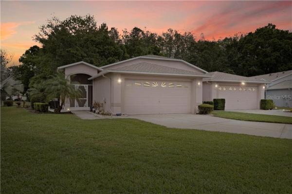 SUMMERTREE 01A PH 01