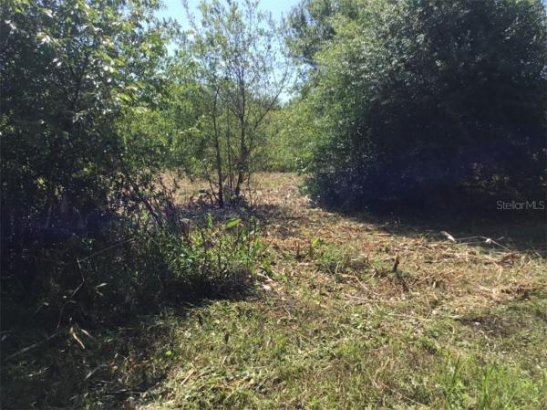 SOUTHERN COLONIZATION CO