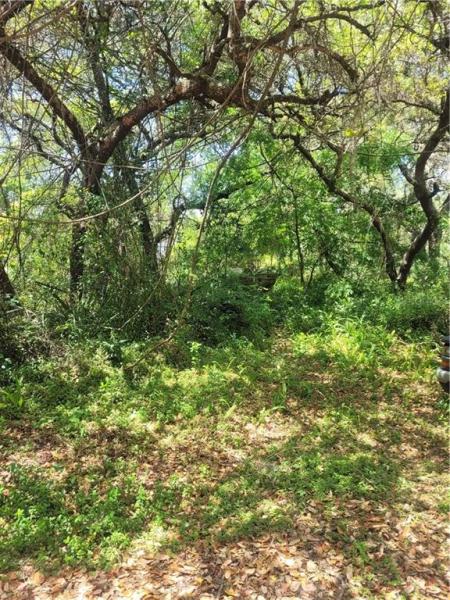 SEMINOLE TERRACE REP