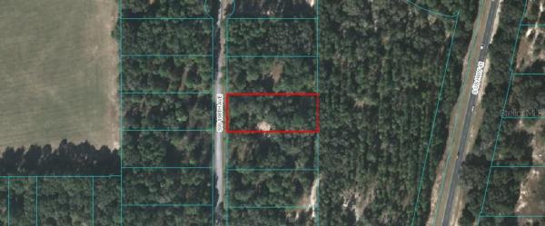 RAINBOW ACRES INC 02