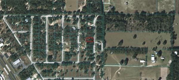 ORANGE BLOSSOM HILLS UN 14