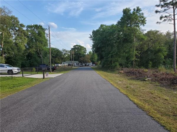 ORANGE BLOSSOM HILLS