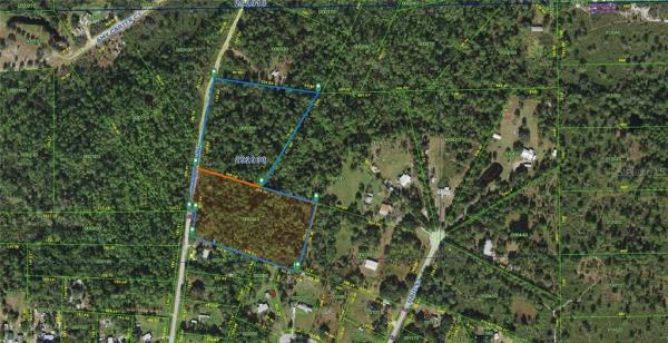 MONEYTREE RANCHETTES SUB