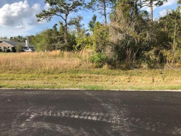 ORANGE BLOSSOM ACRES