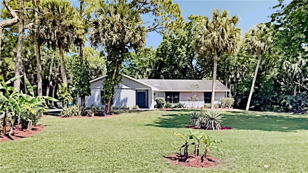 SUGAR PINES - фото