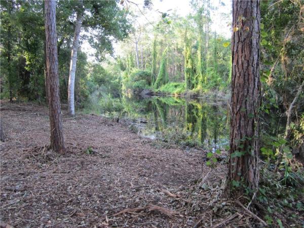 ORANGE BLOSSOM ESTATE