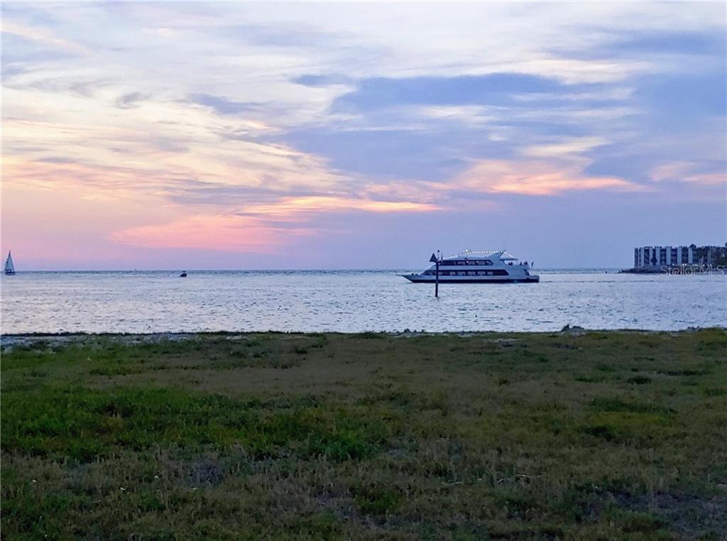 TIERRA VERDE - фото