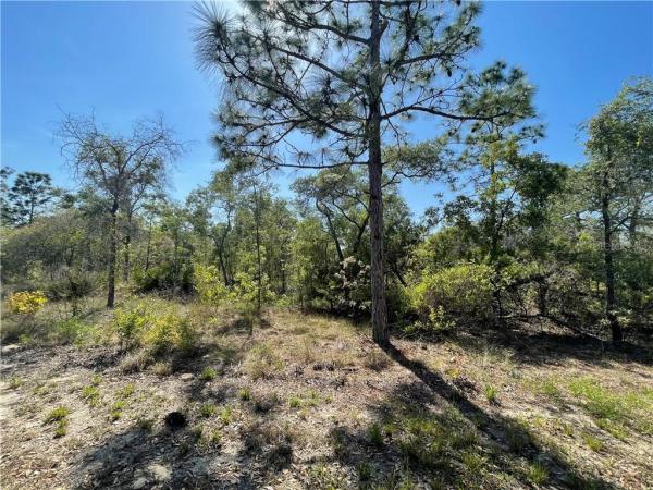 VIDALIS/MARKS-CLASS 1 SUB