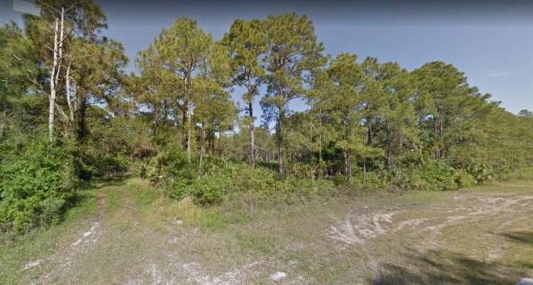 PORT CHARLOTTE SUB 31