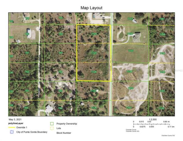 CHARLOTTE RANCHETTES #124