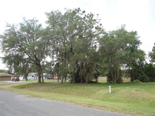 WILDERNESS PH 1 UNIT 2 THE