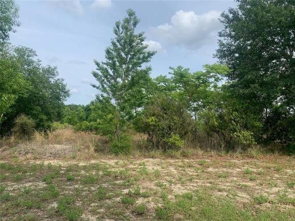 GROVELAND FARMS 35-22-24