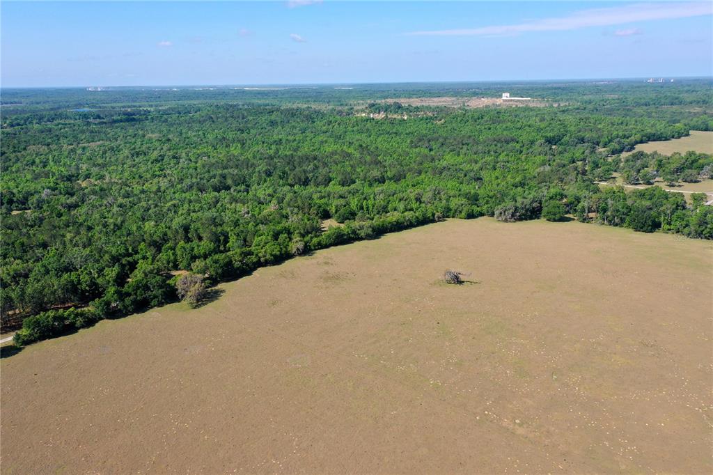 UNPLATTED - фото