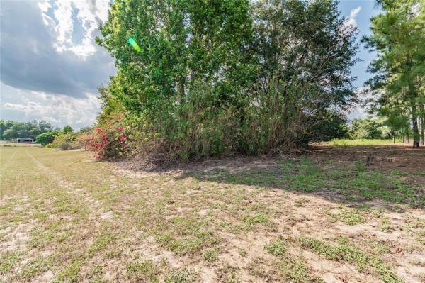 LAKE AVALON GROVES REP