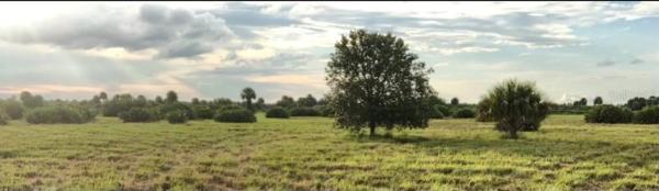 SHERMAN WOOD RANCHES