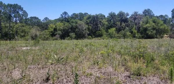 POINCIANA NBRHD 02 EAST VILLAGE 07