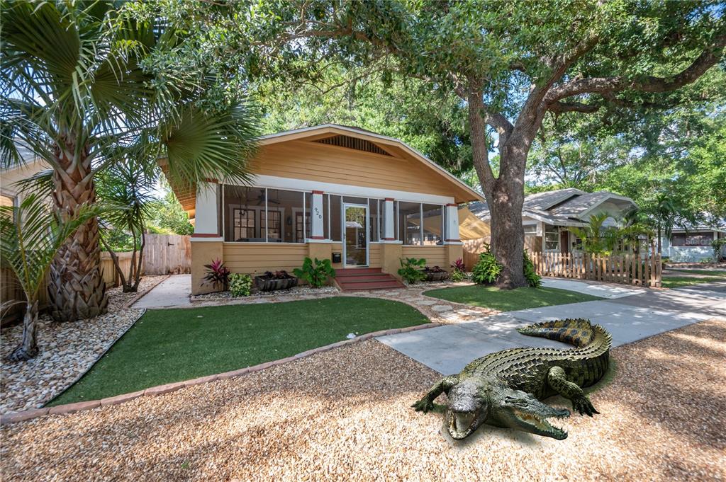 EVELYN CITY - фото