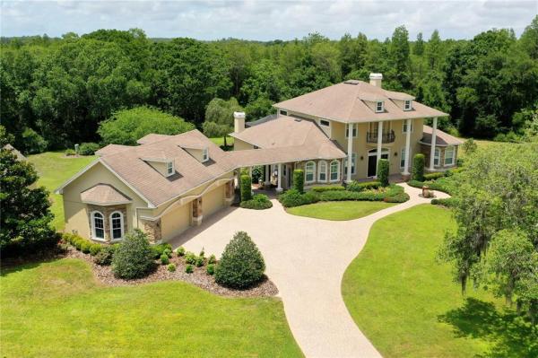 CITRUS GREEN PHASE 2