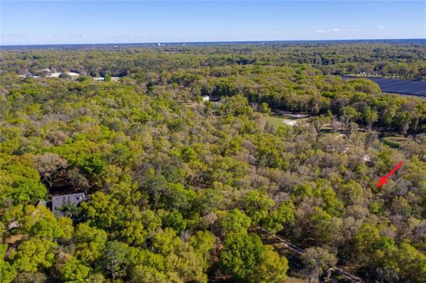 NORRIS DUPONT & GAUDRY GRANT