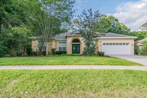 EPPING FOREST AT LAKE BERNADETTE