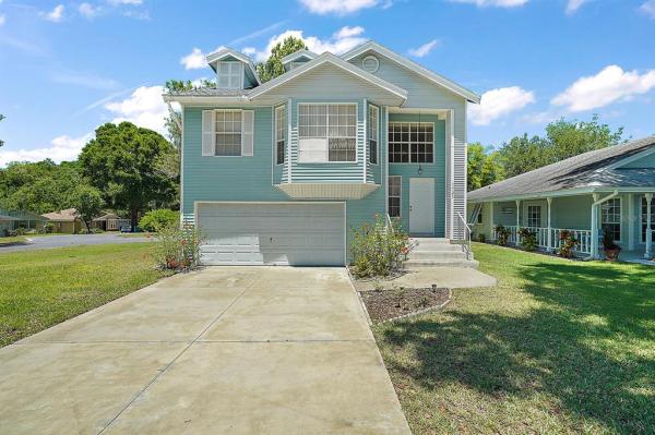 MOUNT DORA DORSET MOUNT DORA