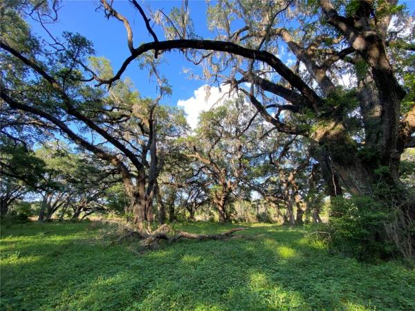 LAKE STAFFORD ESTATES