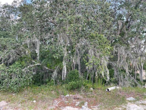 POINCIANA NBRHD 02 WEST VILLAGE 07