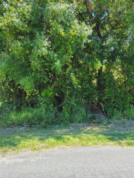 POINCIANA VILLAGE 02 NEIGHBORHOOD 01