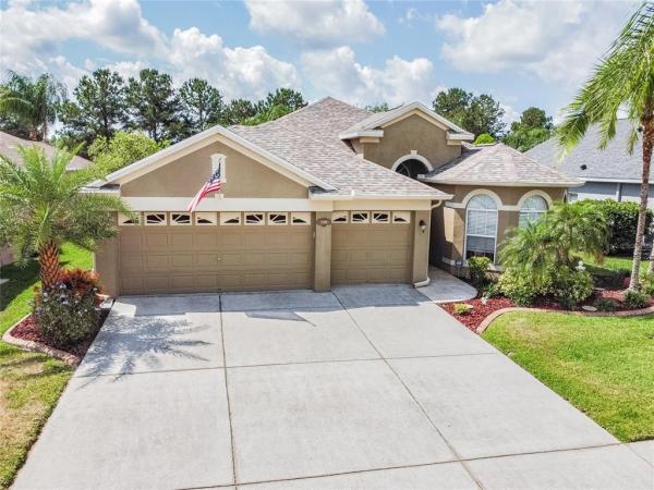 PLANTATION PALMS 04C