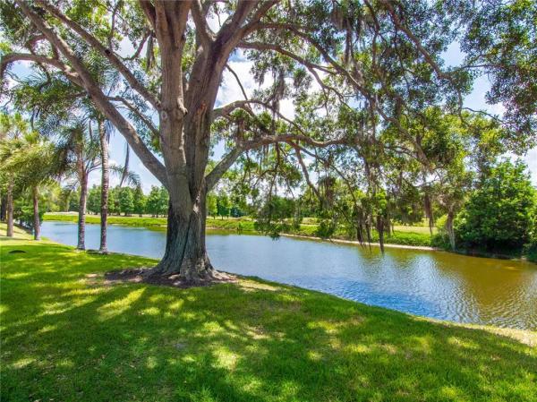 CARROLLWOOD VILLAGE CYPRESS CL