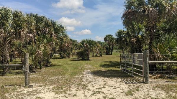 SOUTHERN COLONIZAION