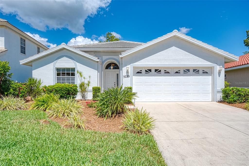 RIVERWOOD - фото