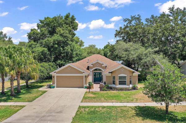 SPRING ARBOR VILLAGE