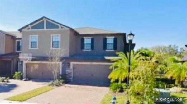 ARBORS/WIREGRASS RANCH