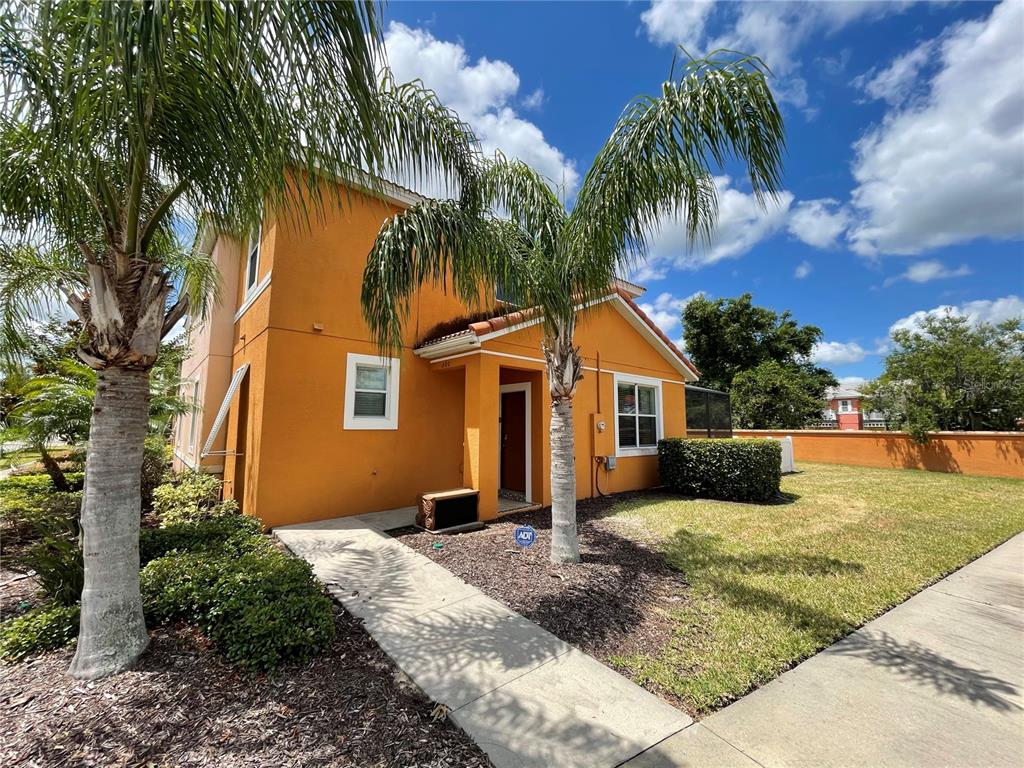 BELLAVIDA REP - фото