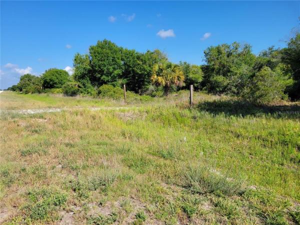 SOUTHERN COLONIZATION CO