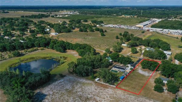 HOLLY HILL GROVE & FRUIT CO