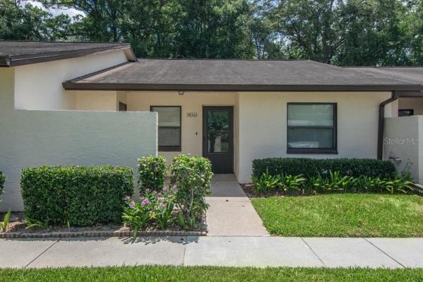 DRIFTWOOD OF ZEPHYRHILLS