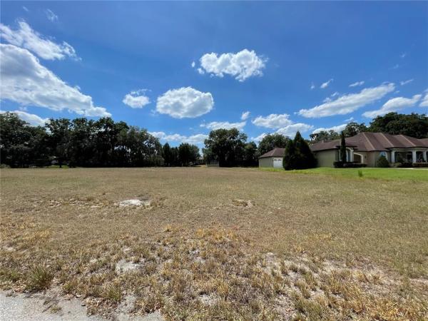 SANCTUARY ON LIVINGSTONE-PHASE