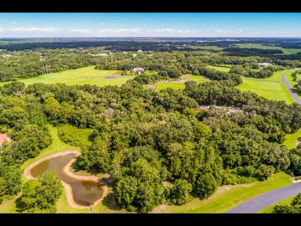 FOREST AT THE HI HAT RANCH