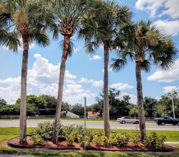 WINTER PARK WOODS CONDO