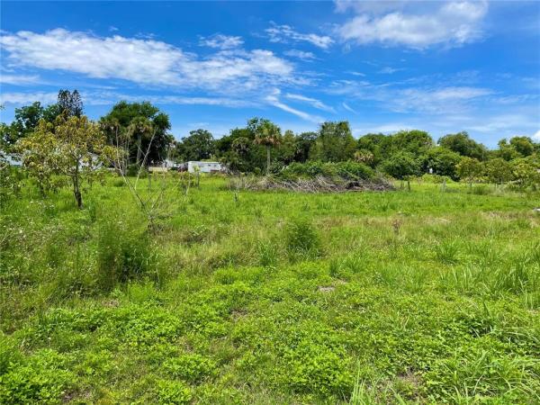 CONSOLIDATED LAND COMPANYS