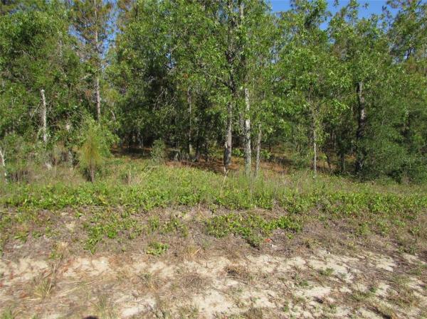 RAINBOW LAKES ESTATES