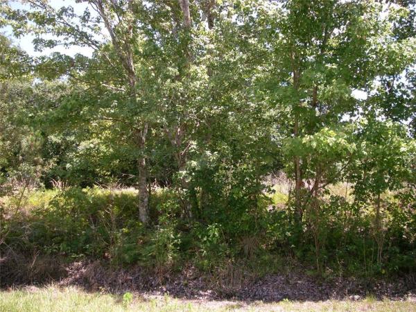 POINCIANA NBRHD 06 SOUTH VILLAGE 03