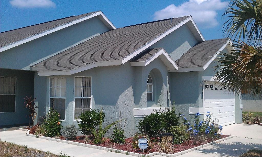 ORANGE TREE PH 05 - фото