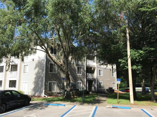 COUNTRYSIDE AT THE UNIVERSITY