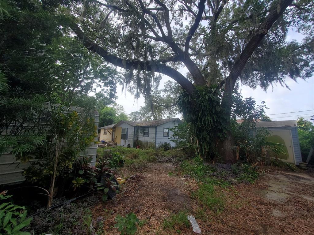 GREERS ADD OF - фото